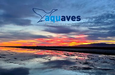 AQUAVES Mutuasport