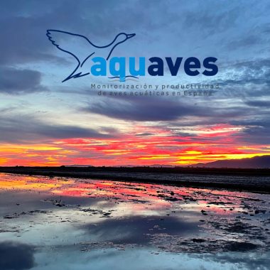 AQUAVES Mutuasport