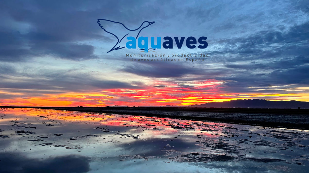 AQUAVES Mutuasport