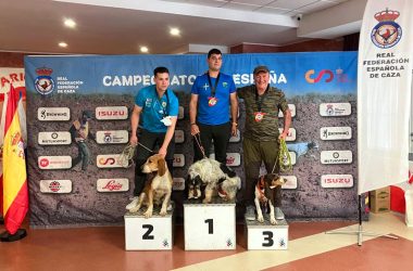 Jabalí Salvaje perros Caza