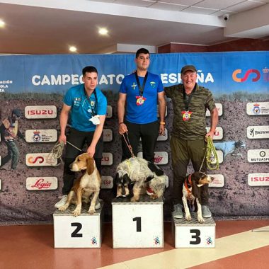 Jabalí Salvaje perros Caza