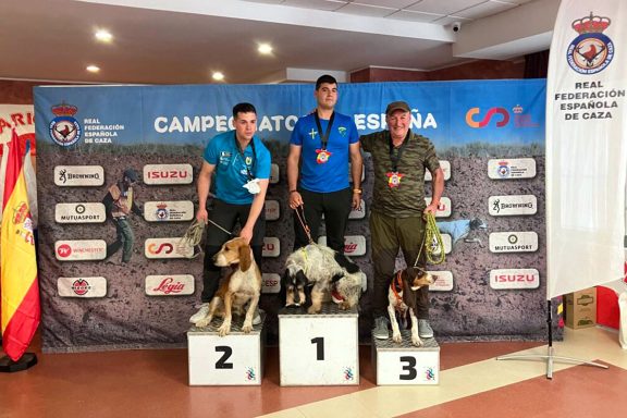 Jabalí Salvaje perros Caza