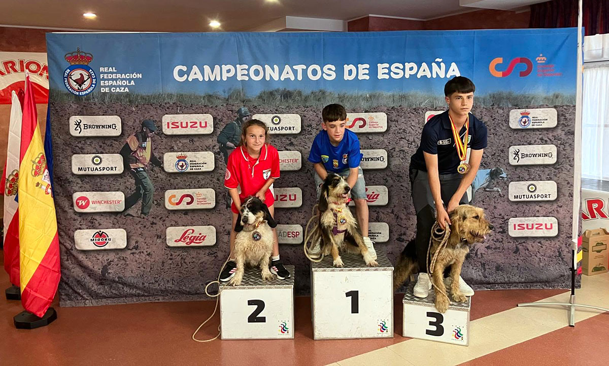 Jabalí Salvaje perros Caza