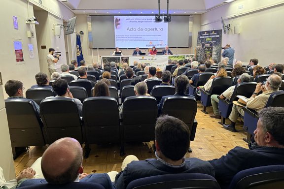 La peste porcina Artemisan