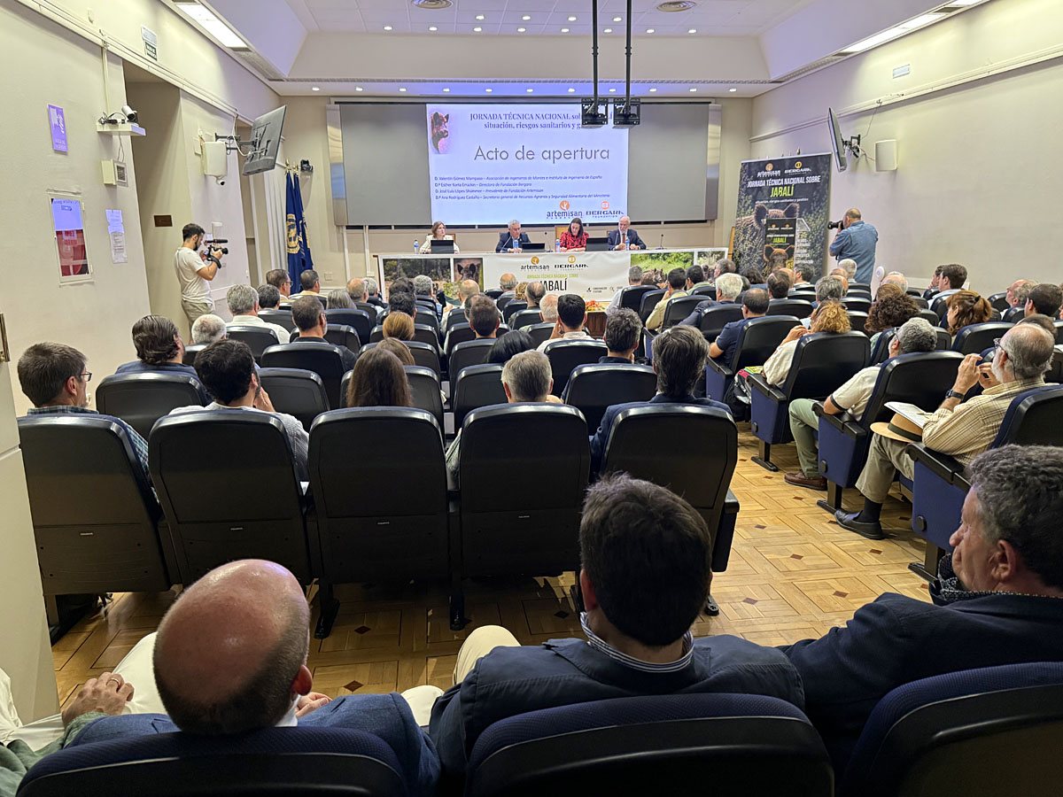La peste porcina Artemisan