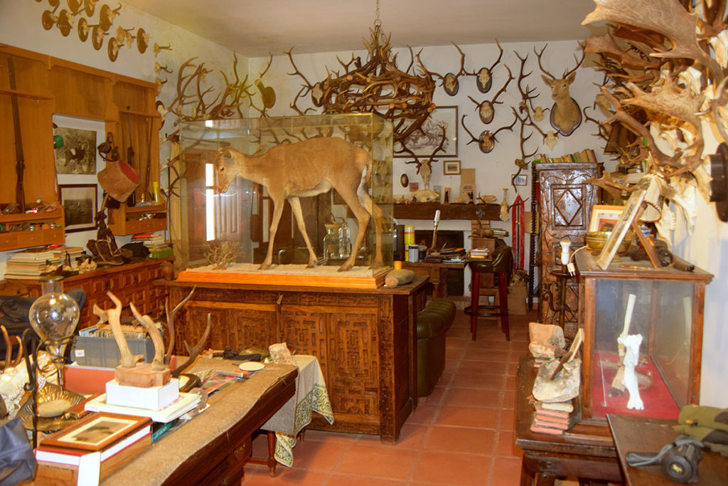 Paco Mena Serranía