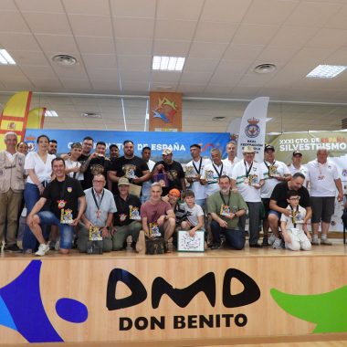 pájaros campeón
