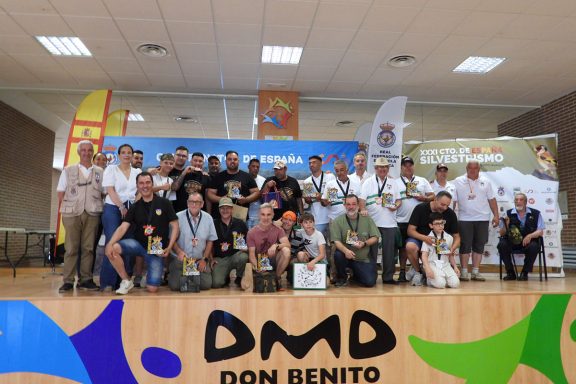 pájaros campeón