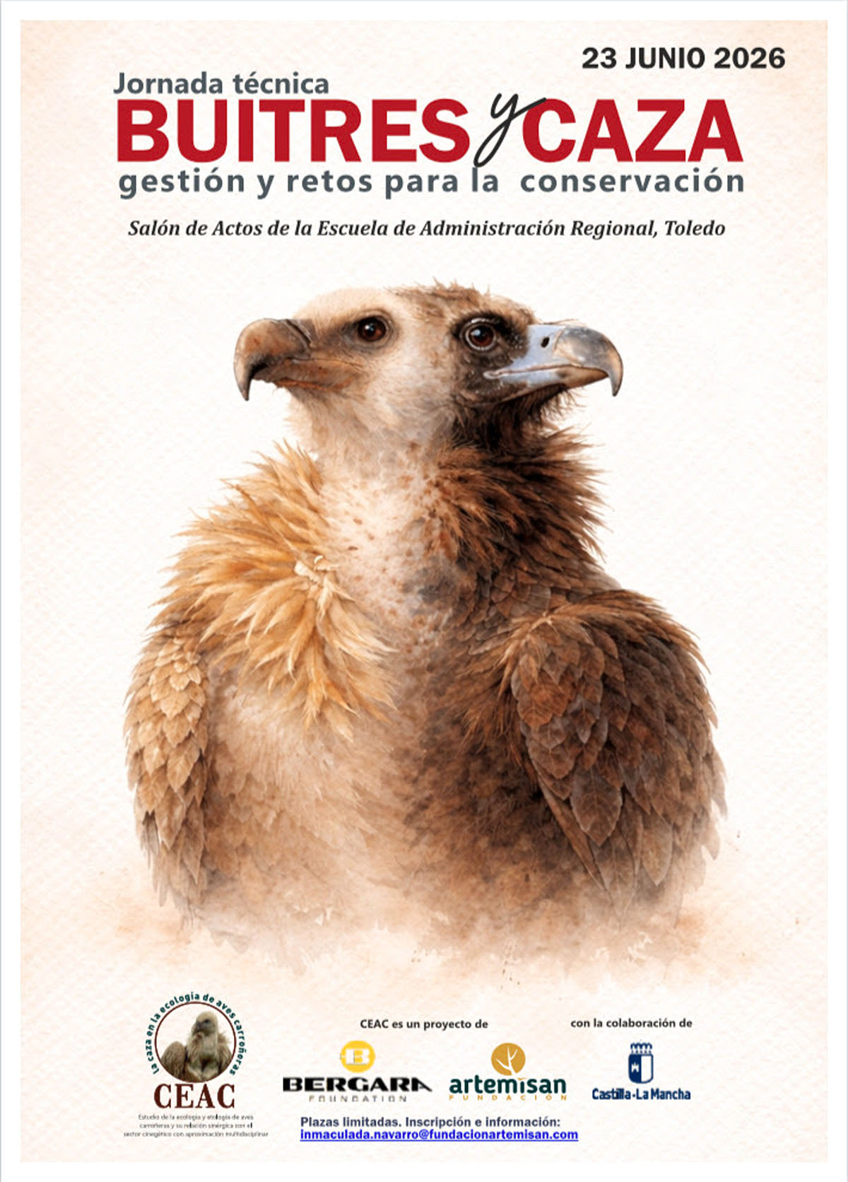 y caza buitres
