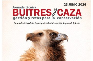 y caza buitres