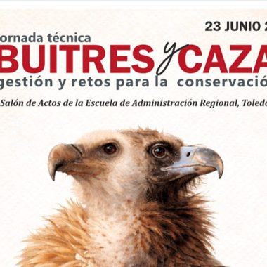 y caza buitres