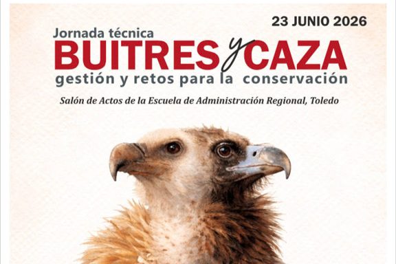 y caza buitres
