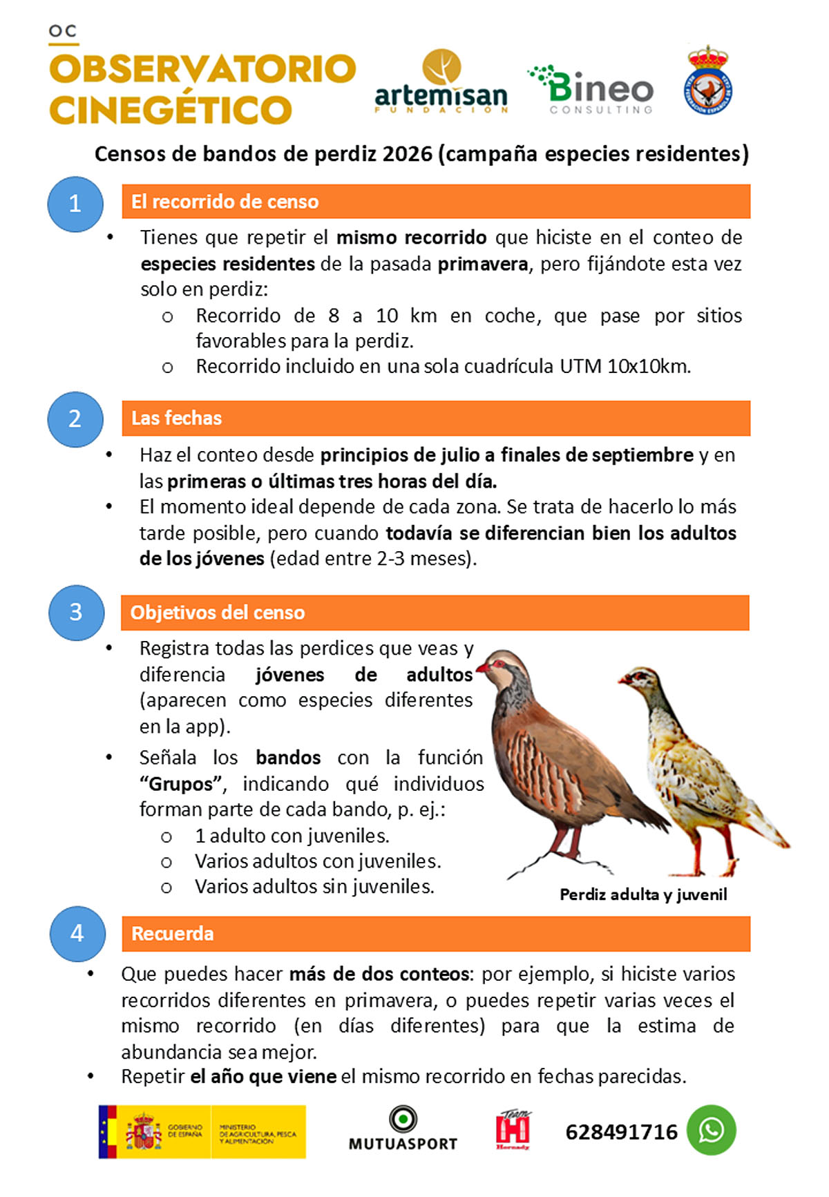 censos de perdiz