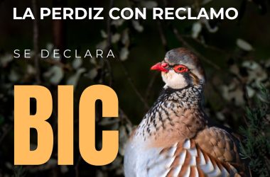 reclamo ya perdiz