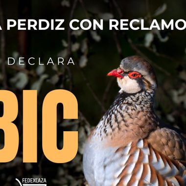 reclamo ya perdiz