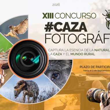 XIII Concurso Caza