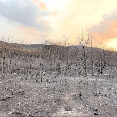 de los incendios Fundación Artemisan