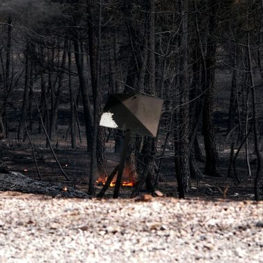 por los incendios Fundación Artemisan