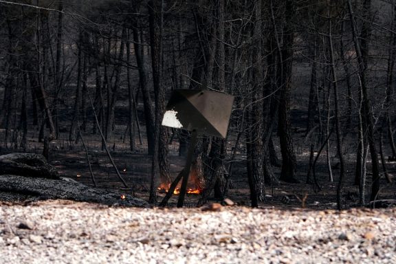 por los incendios Fundación Artemisan
