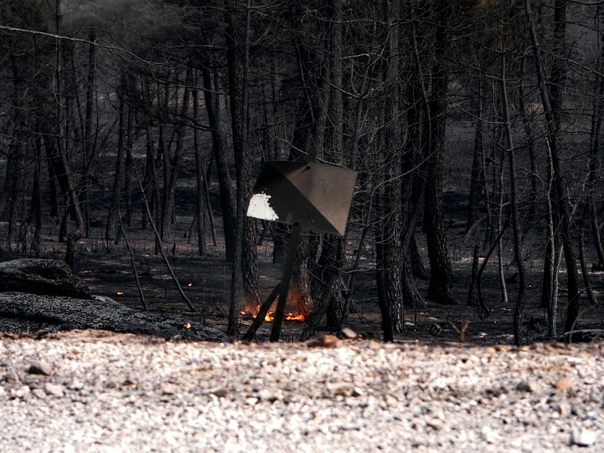 por los incendios Fundación Artemisan