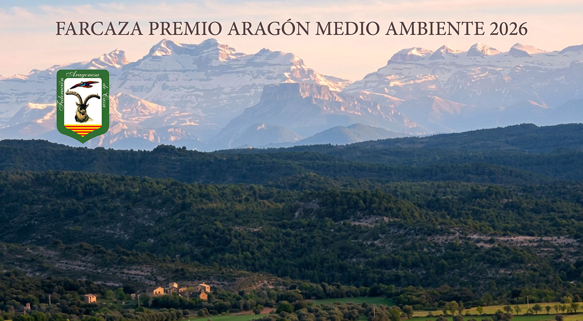 Aragonesa FARCAZA