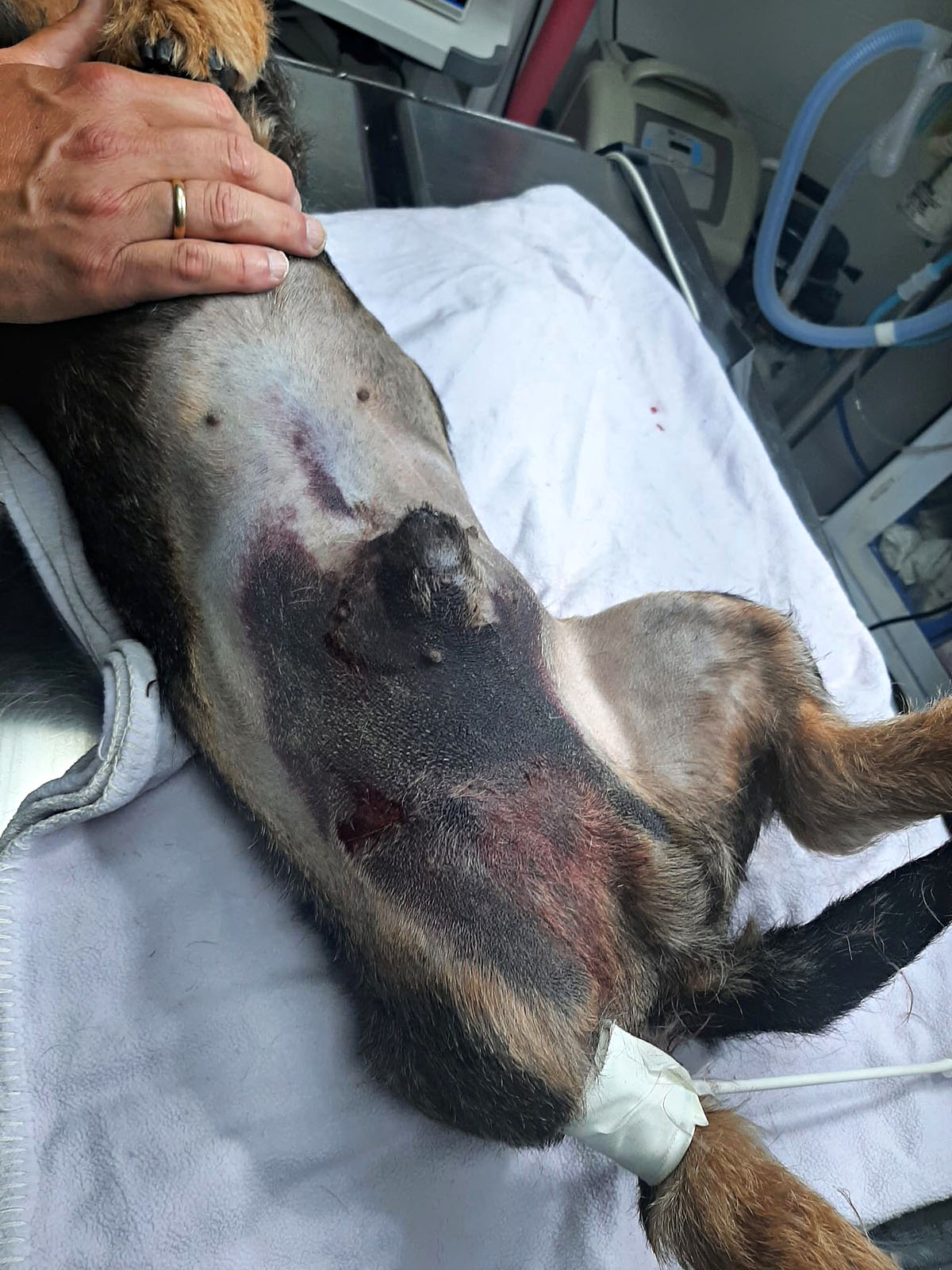 Dos kilómetros Truco Caza