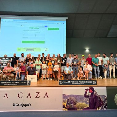 de Sociedades y FEDEXCAZA