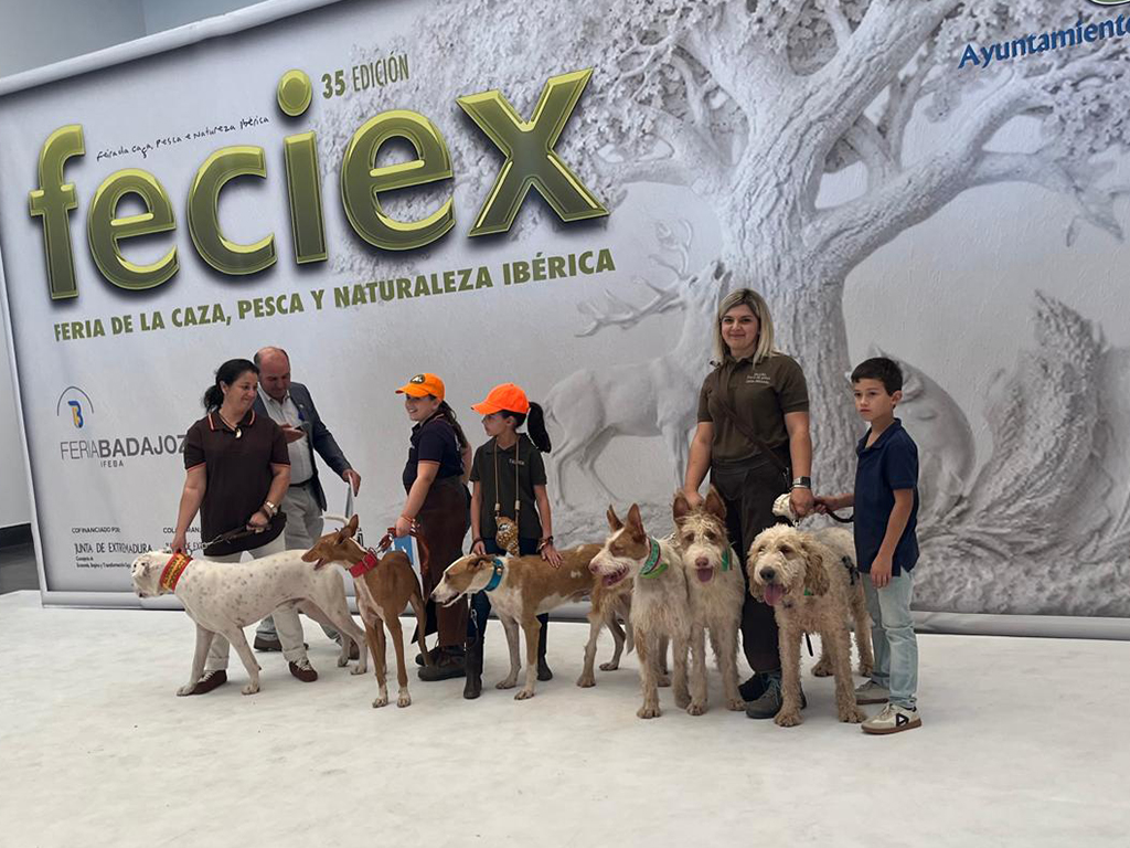 en FECIEX su AER