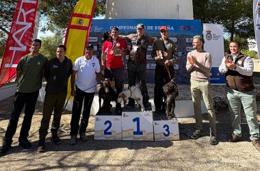 David Larrondo se Caza