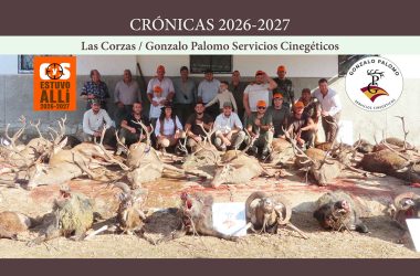 Las Corzas montería