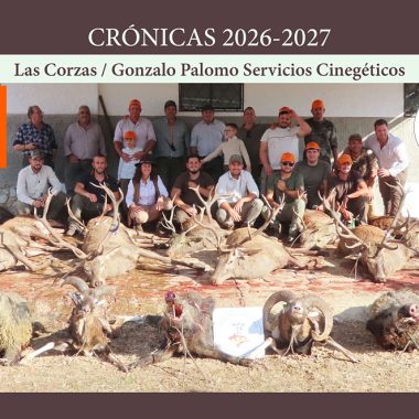 Las Corzas montería