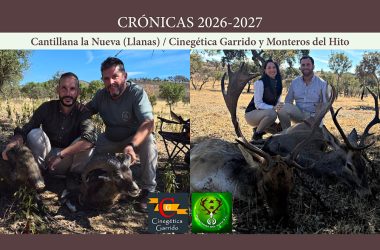 Las Llanas montería