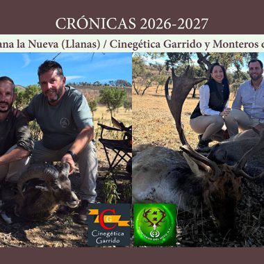 Las Llanas montería