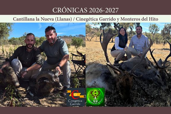 Las Llanas montería