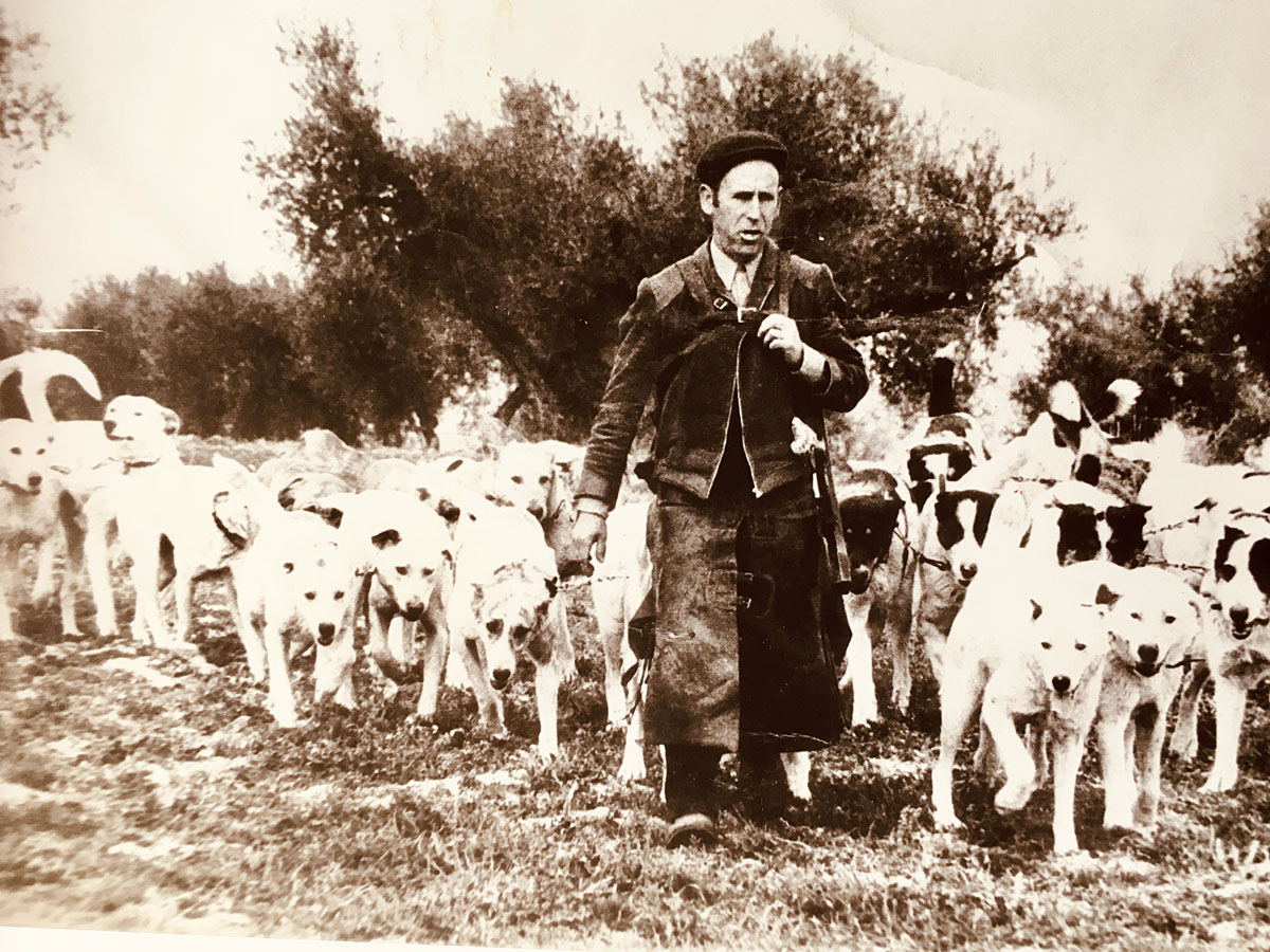 Perico rehala