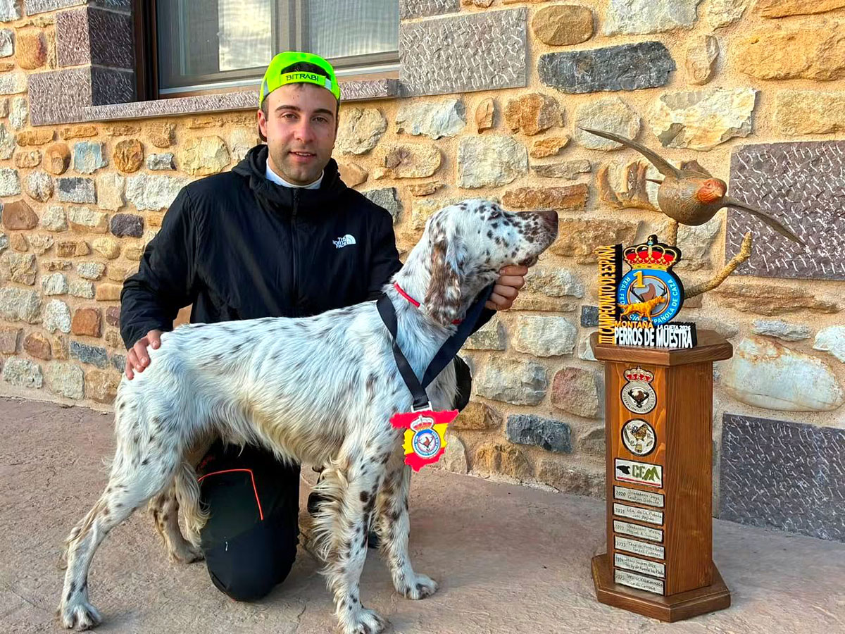 de Muestra en perros Caza 