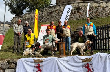 de Muestra en perros Caza