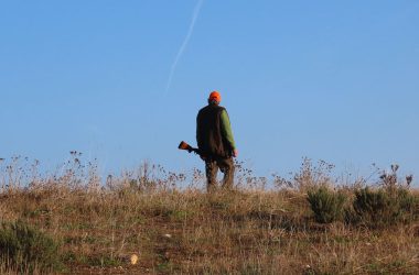 reglamento de caza Castilla