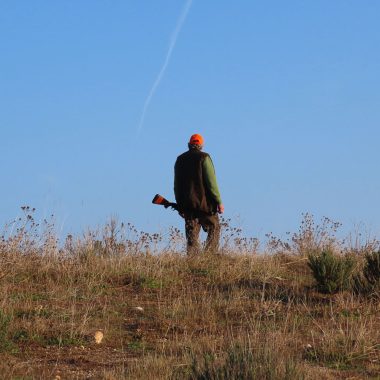 reglamento de caza Castilla