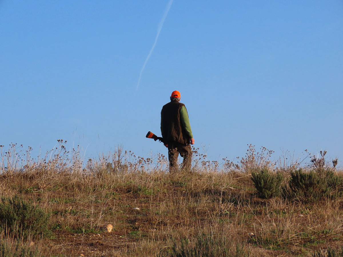 reglamento de caza Castilla
